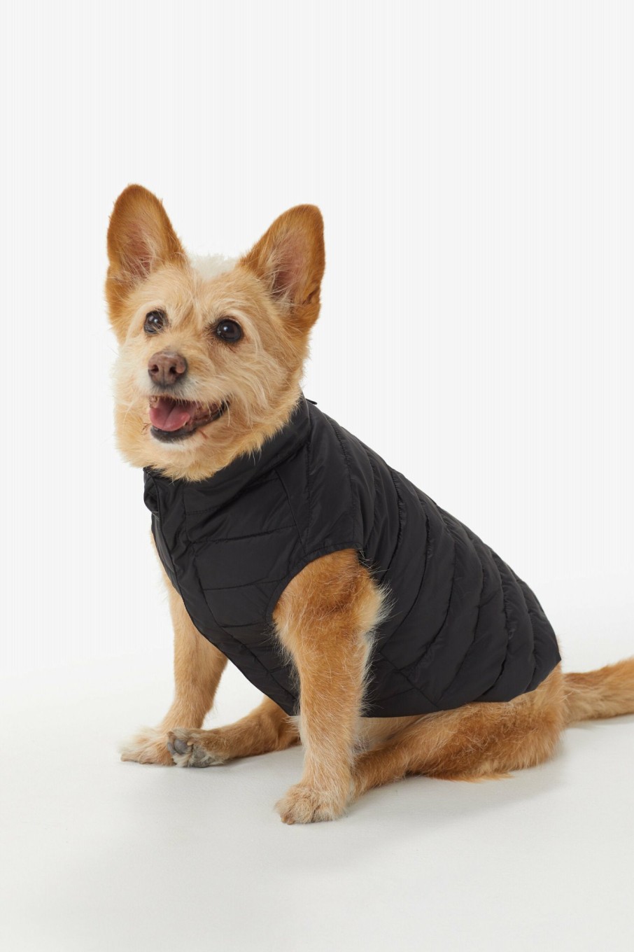 WOMEN Lole Dog Jackets | Ellie Dog Jacket - Black