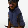 WOMEN Lole Dog Jackets | Ellie Dog Jacket - Amalfi Blue Shine